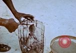 Standbild Pest Control Nordafrika, 1945, aus Sekunde 54 historischem Filmmaterial Videoclip 65675077553