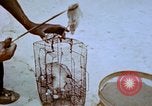 Standbild Pest Control Nordafrika, 1945, aus Sekunde 55 historischem Filmmaterial Videoclip 65675077553