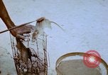Standbild Pest Control Nordafrika, 1945, aus Sekunde 56 historischem Filmmaterial Videoclip 65675077553