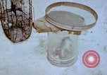 Standbild Pest Control Nordafrika, 1945, aus Sekunde 57 historischem Filmmaterial Videoclip 65675077553
