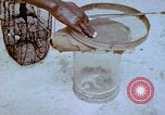 Standbild Pest Control Nordafrika, 1945, aus Sekunde 58 historischem Filmmaterial Videoclip 65675077553
