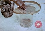 Standbild Pest Control Nordafrika, 1945, aus Sekunde 59 historischem Filmmaterial Videoclip 65675077553