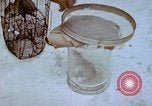 Standbild Pest Control Nordafrika, 1945, aus Sekunde 60 historischem Filmmaterial Videoclip 65675077553