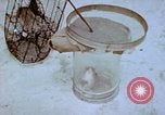 Standbild Pest Control Nordafrika, 1945, aus Sekunde 62 historischem Filmmaterial Videoclip 65675077553