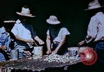 Standbild Pestkontrolle in Nordafrika Nordafrika, 1945, aus Sekunde 40 historischem Filmmaterial Videoclip 65675077554