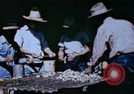 Standbild Pestkontrolle in Nordafrika Nordafrika, 1945, aus Sekunde 41 historischem Filmmaterial Videoclip 65675077554
