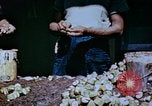 Standbild Pestkontrolle in Nordafrika Nordafrika, 1945, aus Sekunde 43 historischem Filmmaterial Videoclip 65675077554