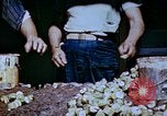 Standbild Pestkontrolle in Nordafrika Nordafrika, 1945, aus Sekunde 46 historischem Filmmaterial Videoclip 65675077554