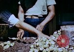 Standbild Pestkontrolle in Nordafrika Nordafrika, 1945, aus Sekunde 47 historischem Filmmaterial Videoclip 65675077554