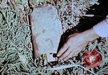 Standbild Pestkontrolle in Nordafrika Nordafrika, 1945, aus Sekunde 48 historischem Filmmaterial Videoclip 65675077554