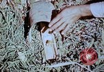 Standbild Pestkontrolle in Nordafrika Nordafrika, 1945, aus Sekunde 49 historischem Filmmaterial Videoclip 65675077554