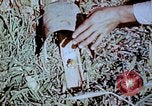 Standbild Pestkontrolle in Nordafrika Nordafrika, 1945, aus Sekunde 50 historischem Filmmaterial Videoclip 65675077554