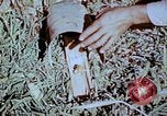 Standbild Pestkontrolle in Nordafrika Nordafrika, 1945, aus Sekunde 51 historischem Filmmaterial Videoclip 65675077554