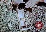 Standbild Pestkontrolle in Nordafrika Nordafrika, 1945, aus Sekunde 52 historischem Filmmaterial Videoclip 65675077554