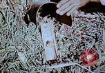 Standbild Pestkontrolle in Nordafrika Nordafrika, 1945, aus Sekunde 54 historischem Filmmaterial Videoclip 65675077554