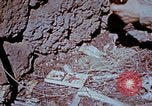 Standbild Pestkontrolle in Nordafrika Nordafrika, 1945, aus Sekunde 56 historischem Filmmaterial Videoclip 65675077554