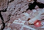 Standbild Pestkontrolle in Nordafrika Nordafrika, 1945, aus Sekunde 58 historischem Filmmaterial Videoclip 65675077554