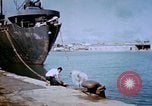 Standbild Pest Control Nordafrika, 1945, aus Sekunde 4 historischem Filmmaterial Videoclip 65675077555