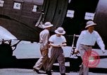 Standbild Pest Control Nordafrika, 1945, aus Sekunde 11 historischem Filmmaterial Videoclip 65675077555