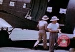 Standbild Pest Control Nordafrika, 1945, aus Sekunde 12 historischem Filmmaterial Videoclip 65675077555