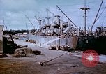 Standbild Pest Control Nordafrika, 1945, aus Sekunde 14 historischem Filmmaterial Videoclip 65675077555