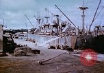 Standbild Pest Control Nordafrika, 1945, aus Sekunde 17 historischem Filmmaterial Videoclip 65675077555