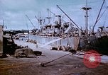 Standbild Pest Control Nordafrika, 1945, aus Sekunde 19 historischem Filmmaterial Videoclip 65675077555