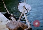 Standbild Pest Control Nordafrika, 1945, aus Sekunde 26 historischem Filmmaterial Videoclip 65675077555