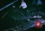 Standbild Pest Control Nordafrika, 1945, aus Sekunde 41 historischem Filmmaterial Videoclip 65675077555