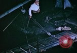 Standbild Pest Control Nordafrika, 1945, aus Sekunde 42 historischem Filmmaterial Videoclip 65675077555