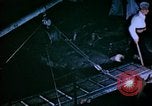 Standbild Pest Control Nordafrika, 1945, aus Sekunde 45 historischem Filmmaterial Videoclip 65675077555