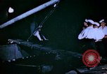Standbild Pest Control Nordafrika, 1945, aus Sekunde 49 historischem Filmmaterial Videoclip 65675077555