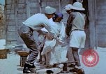 Image of plague control in Libya North Africa Libya North Africa, 1945, second 9 stock footage video 65675077557