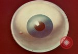 Image of ocular examination United States USA, 1945, second 43 stock footage video 65675077562