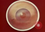 Image of ocular examination United States USA, 1945, second 44 stock footage video 65675077562