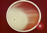 Image of ocular examination United States USA, 1945, second 49 stock footage video 65675077562