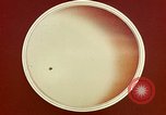 Image of ocular examination United States USA, 1945, second 50 stock footage video 65675077562