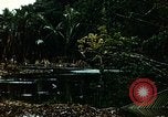 Image of malaria Pacific Theater, 1944, second 43 stock footage video 65675077564