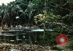 Image of malaria Pacific Theater, 1944, second 44 stock footage video 65675077564