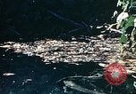 Image of malaria Pacific Theater, 1944, second 48 stock footage video 65675077564