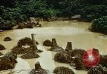 Image of malaria Pacific Theater, 1944, second 50 stock footage video 65675077564
