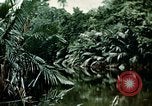 Image of malaria Pacific Theater, 1944, second 51 stock footage video 65675077564
