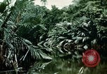 Image of malaria Pacific Theater, 1944, second 52 stock footage video 65675077564