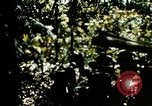 Image of malaria Pacific Theater, 1944, second 54 stock footage video 65675077564