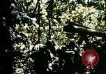 Image of malaria Pacific Theater, 1944, second 55 stock footage video 65675077564