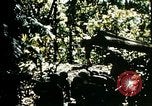 Image of malaria Pacific Theater, 1944, second 57 stock footage video 65675077564