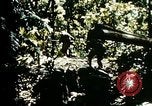 Image of malaria Pacific Theater, 1944, second 58 stock footage video 65675077564