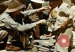 Image le paludisme théâtre du Pacifique, 1944, de la seconde 20 séquences d'archives historiques vidéo 65675077565