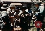 Image le paludisme théâtre du Pacifique, 1944, de la seconde 43 séquences d'archives historiques vidéo 65675077565