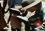 Image le paludisme théâtre du Pacifique, 1944, de la seconde 60 séquences d'archives historiques vidéo 65675077565